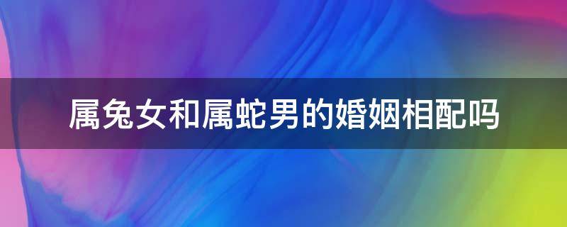 属兔女和属蛇男的婚姻相配吗（属兔男和属女蛇婚姻相配好吗）