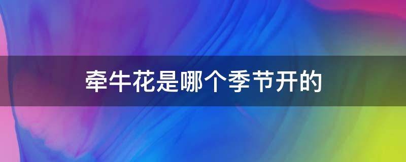 牵牛花是哪个季节开的（牵牛花是哪个季节开的花）