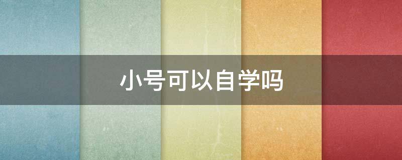 小号可以自学吗（小号容易自学吗）