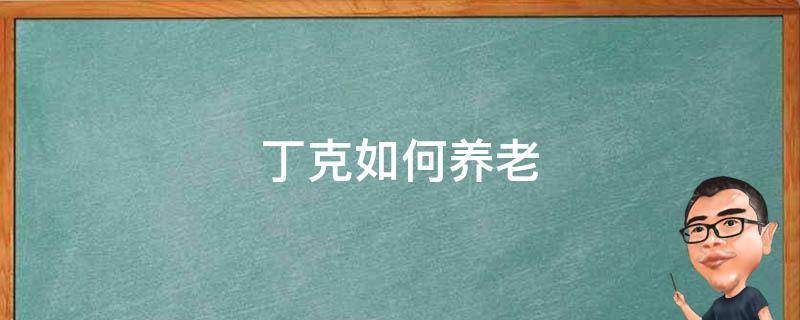 丁克如何养老 丁克怎么养老
