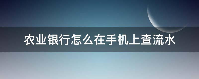 农业银行怎么在手机上查流水 农业银行怎么在手机上查流水账