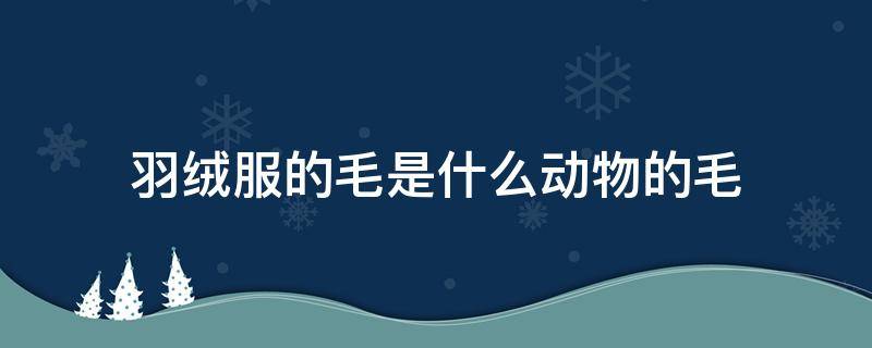 羽绒服的毛是什么动物的毛 羽绒服是动物毛吗