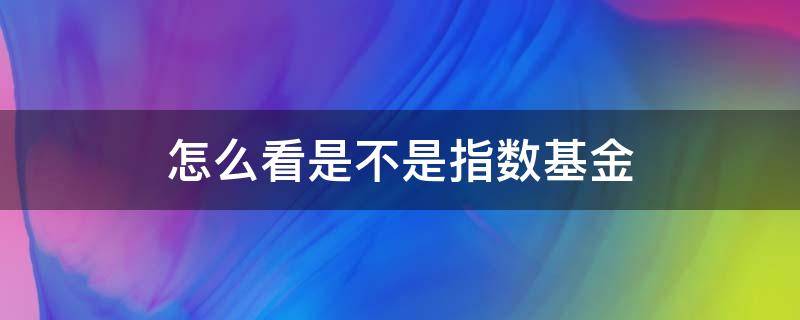 怎么看是不是指数基金 怎样看是不是指数基金