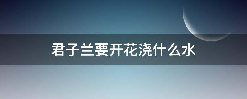 君子兰要开花浇什么水（君子兰开花时浇什么水）