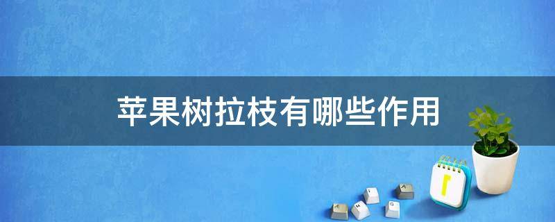 苹果树拉枝有哪些作用（苹果树拉枝的作用）