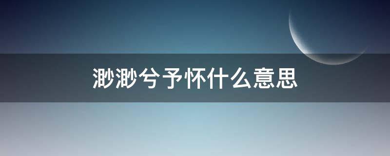 渺渺兮予怀什么意思（渺渺兮予怀的渺是什么意思）