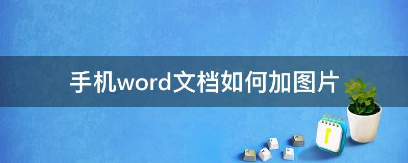 手机word文档如何加图片（怎样在word手机文档中添加图片）