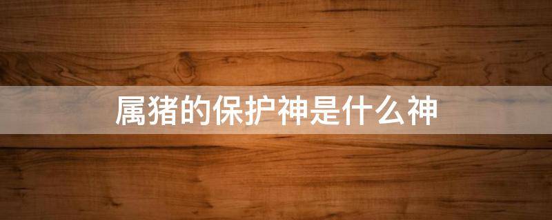 属猪的保护神是什么神（属猪保护神是什么神图片）