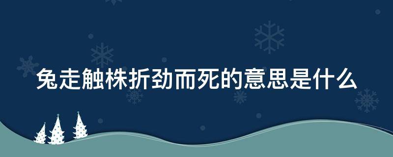 兔走触株折劲而死的意思是什么（兔走触株折劲而死的意思是什么 意思）