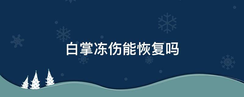 白掌冻伤能恢复吗（白掌冻着了怎么办）