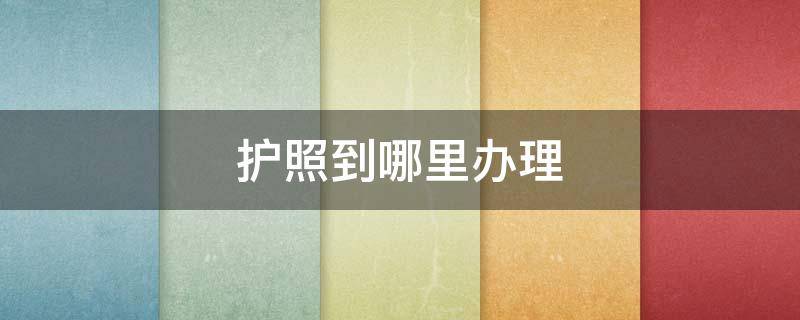 护照到哪里办理（出国护照到哪里办理）