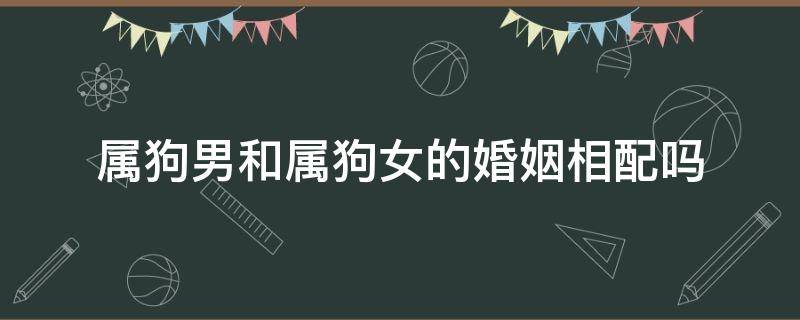 属狗男和属狗女的婚姻相配吗 属狗男和属狗女婚姻好吗