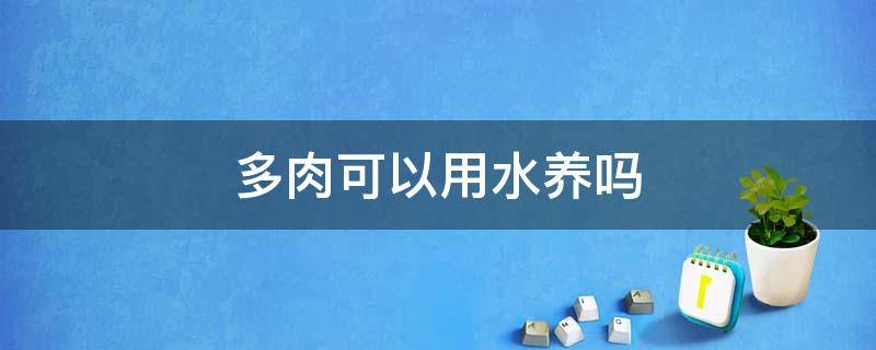 多肉可以用水养吗（多肉能直接用水养吗）