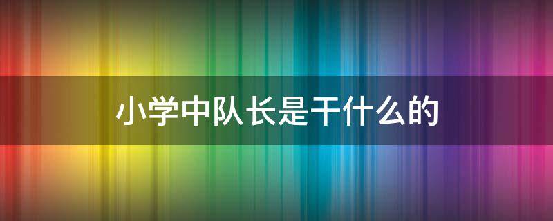 小学中队长是干什么的 小学里的大队长是干什么的