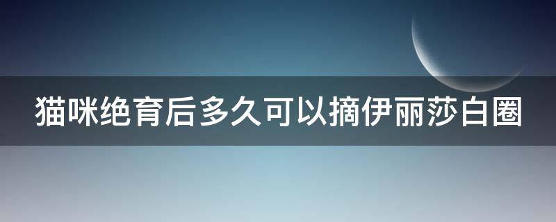 猫咪绝育后多久可以摘伊丽莎白圈（猫猫做完绝育手术后几天可以取伊丽莎白圈）