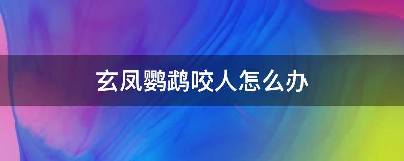 玄凤鹦鹉咬人怎么办 玄凤鹦鹉咬人怎么办不让碰怎么办