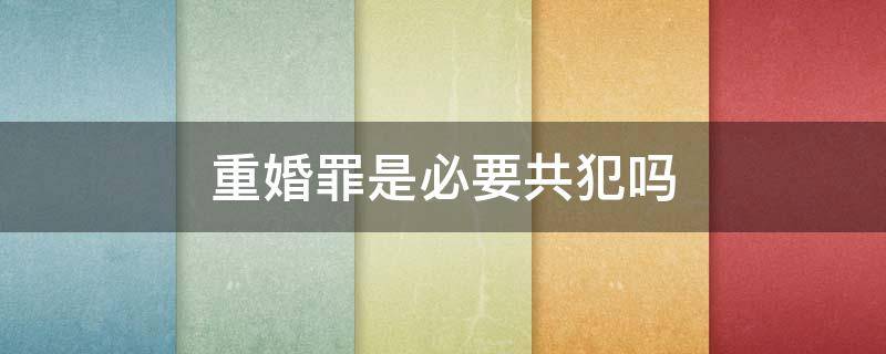 重婚罪是必要共犯吗（重婚罪是什么犯）