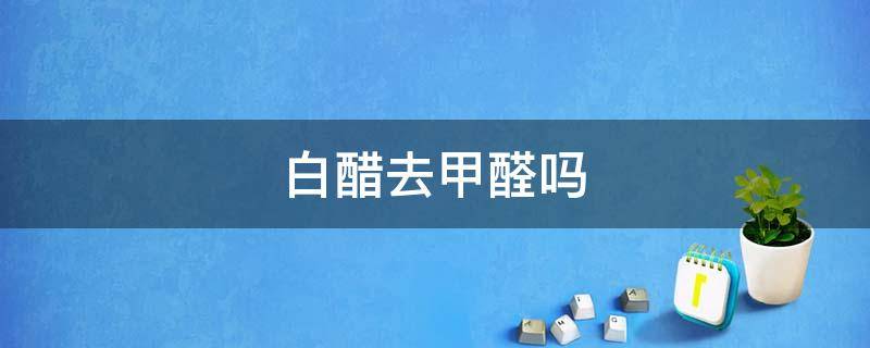 白醋去甲醛吗 白醋去甲醛有效吗