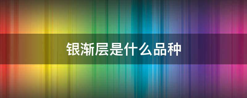 银渐层是什么品种 虎斑银渐层是什么品种
