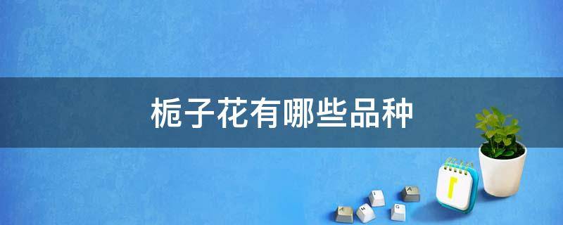 栀子花有哪些品种 栀子花有哪些品种图片