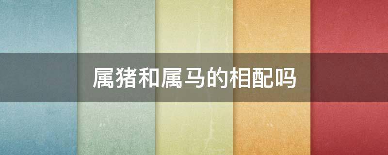 属猪和属马的相配吗 属猪和属马的相配吗两人合不合