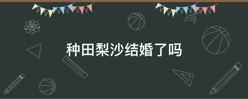 种田梨沙结婚了吗（种田梨沙为什么没以前火）
