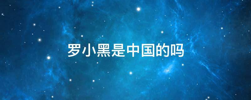 罗小黑是中国的吗（为什么叫罗小黑）