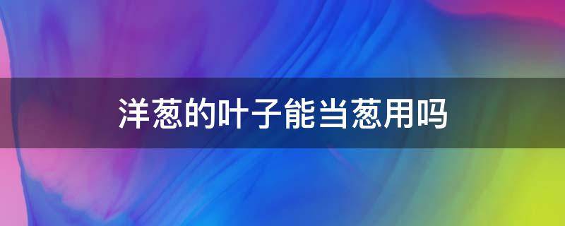洋葱的叶子能当葱用吗（洋葱叶子有什么用）