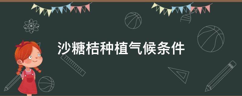 沙糖桔种植气候条件（沙糖桔的种植海拔条件）