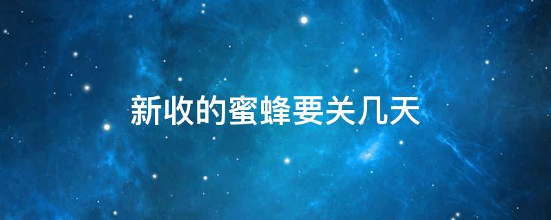 新收的蜜蜂要关几天 新收的蜜蜂要关几天才稳定