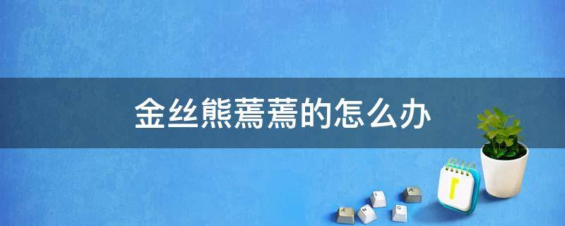 金丝熊蔫蔫的怎么办（金丝熊很蔫了吧唧）