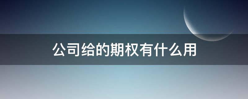 公司给的期权有什么用（公司期权的作用）