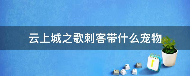 云上城之歌刺客带什么宠物（云上城之歌刺客带什么宠物最合适）