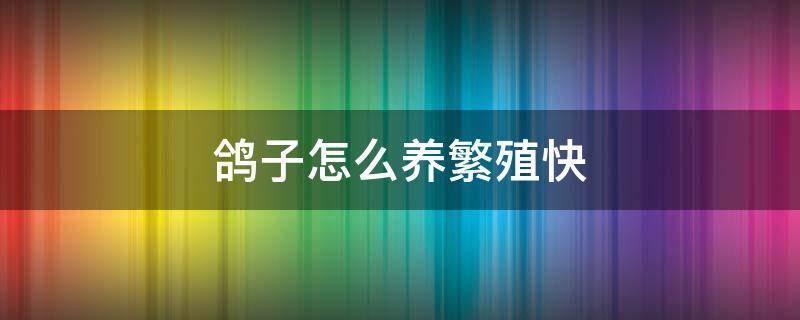 鸽子怎么养繁殖快（鸽子怎么养繁殖快,视频教学）
