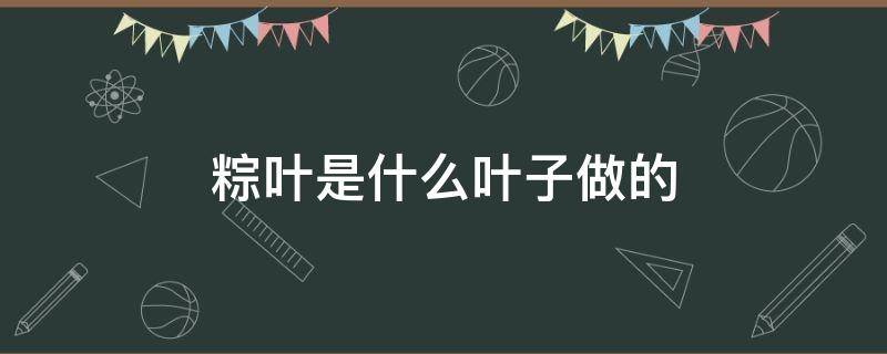 粽叶是什么叶子做的（粽叶是什么叶子制成的）