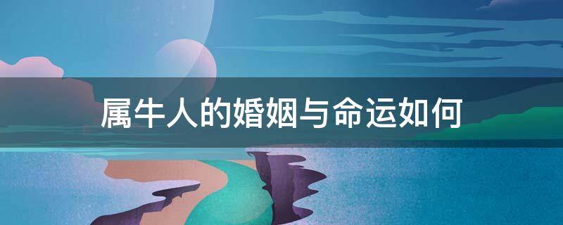 属牛人的婚姻与命运如何（属牛人的婚姻状况）