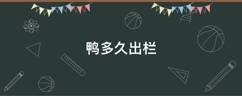 鸭多久出栏（樱桃谷鸭多久出栏）
