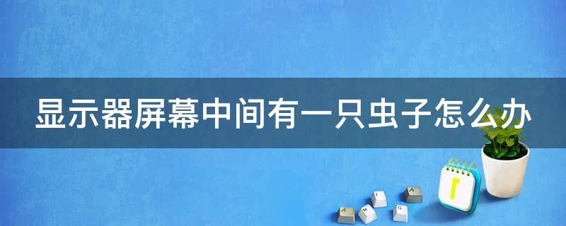 显示器屏幕中间有一只虫子怎么办（显示器屏幕中间有一只虫子怎么办呢）