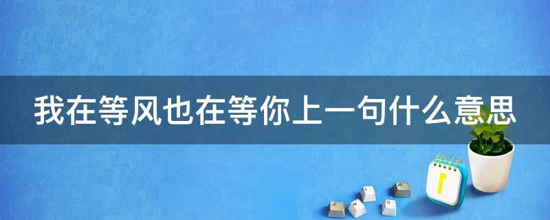 我在等风也在等你上一句什么意思（我在等风也在等你出处）