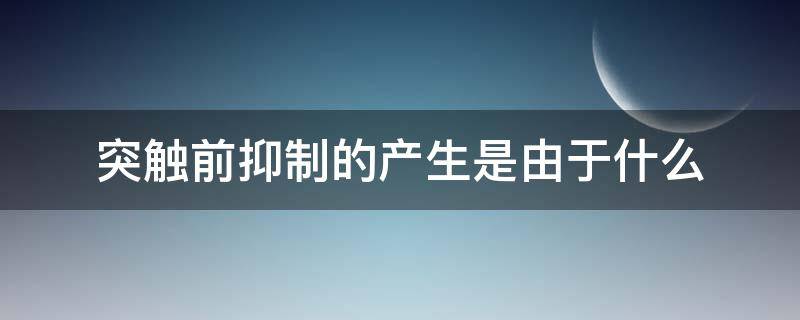 突触前抑制的产生是由于什么（发生突触前抑制是由于什么）