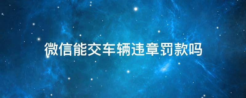 微信能交车辆违章罚款吗（车辆违章交罚款可以微信交吗）