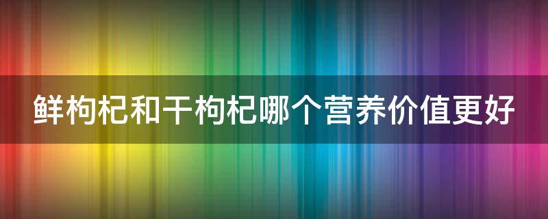 鲜枸杞和干枸杞哪个营养价值更好（鲜枸杞与干枸杞功效一样吗）