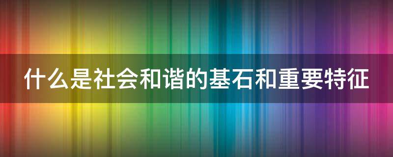 什么是社会和谐的基石和重要特征（什么是社会和谐的基石和重要特征之一）