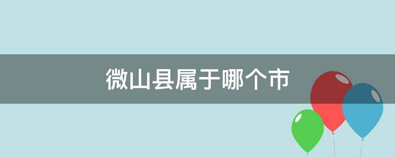 微山县属于哪个市（微山县属于哪个市哪个区）