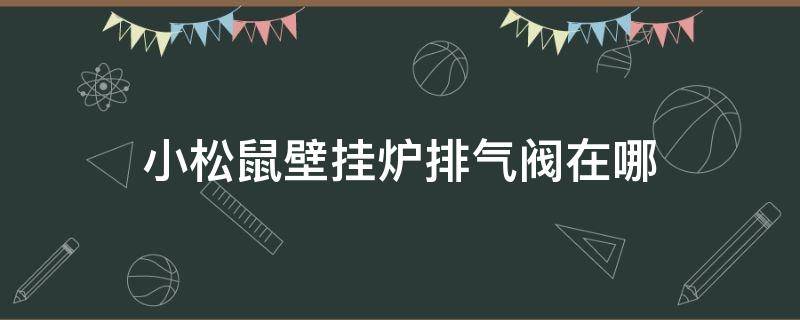 小松鼠壁挂炉排气阀在哪（小松鼠壁挂炉自动排气阀在哪）