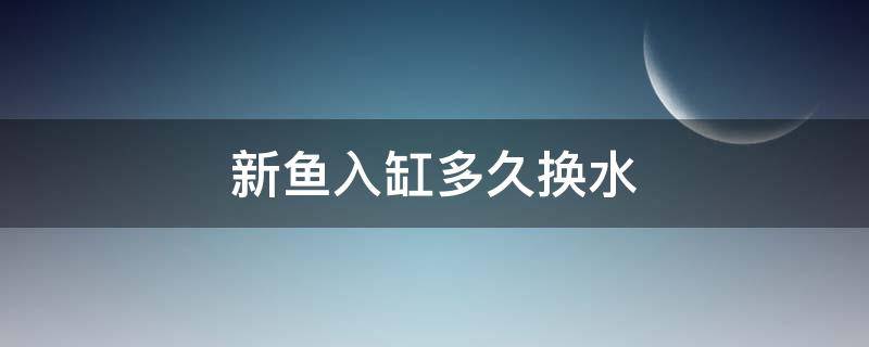 新鱼入缸多久换水（新缸养鱼几天换水）