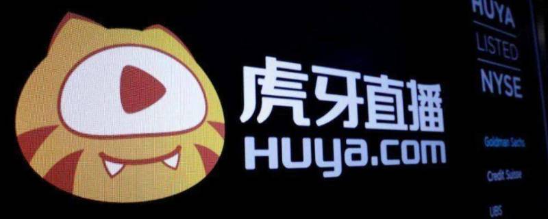 银豆200是什么实物（银豆是什么样）