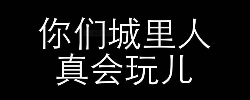 城会玩下一句怎么接 城里的人真会玩下一句