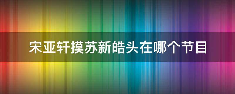 宋亚轩摸苏新皓头在哪个节目 宋亚轩摸苏新皓头是什么节目