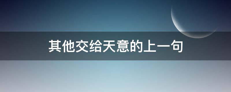 其他交给天意的上一句 都交给天意